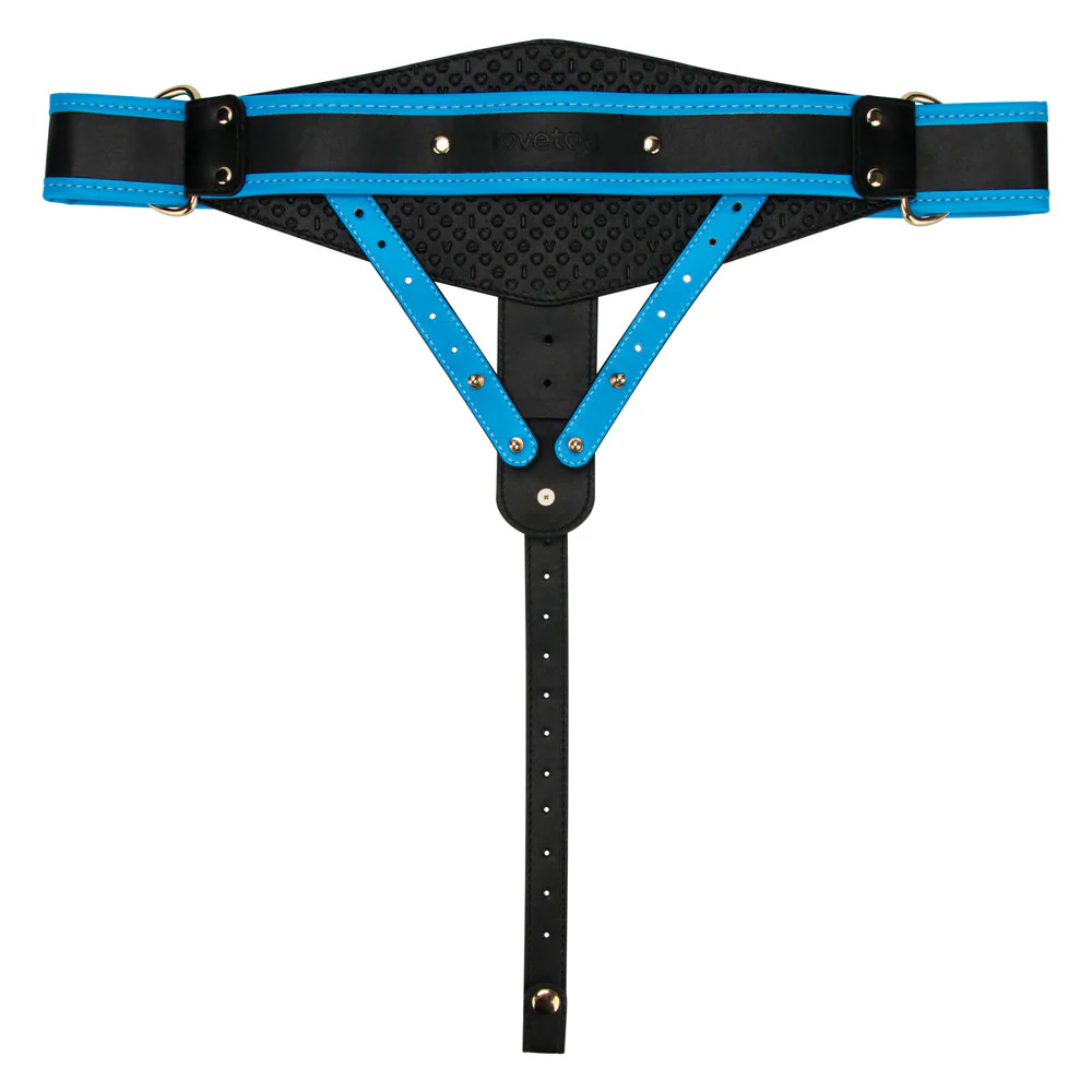 Lovetoy Ingen 9 Inch Enhanced Hollow Strap-On Set - L/XL/2XL - Image 4
