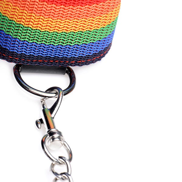Master Series Kinky Pride Rainbow Bondage 3-Piece Set - Image 4