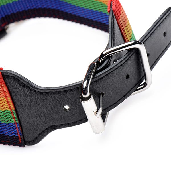 Master Series Kinky Pride Rainbow Bondage 3-Piece Set - Image 5