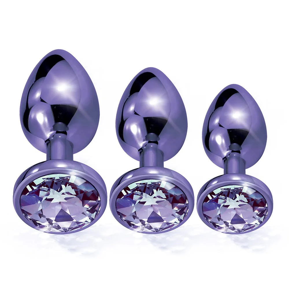 Nixie Metal Butt Plug Trainer Set - Image 3