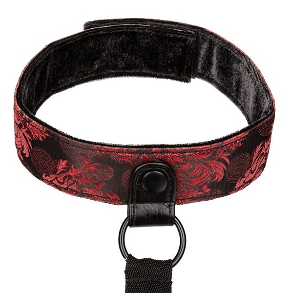 Scandal Collar Body Restraint - Image 5