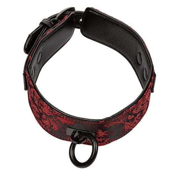 Scandal Collar with Leash - Image 4